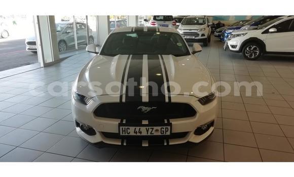 Acheter Occasion Voiture Ford Mustang Blanc à Maputsoa, Leribe Acheter Occasion Voiture Ford Mustang Blanc à Maputsoa, Leribe