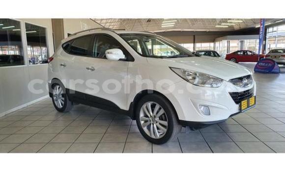 Buy Used Hyundai ix35 White Car in Maseru in Maseru Buy Used Hyundai ix35 White Car in Maseru in Maseru