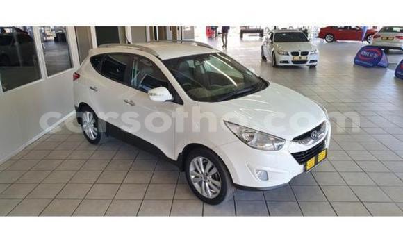 Buy Used Hyundai ix35 White Car in Maseru in Maseru Buy Used Hyundai ix35 White Car in Maseru in Maseru