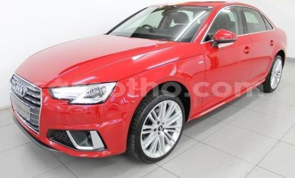 Buy Used Audi A4 Red Car in Maseru in Maseru Buy Used Audi A4 Red Car in Maseru in Maseru