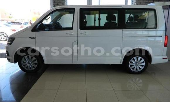 Buy Used Volkswagen Type 1 White Car in Maseru in Maseru Buy Used Volkswagen Type 1 White Car in Maseru in Maseru