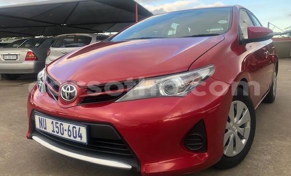 Buy Used Toyota Auris Red Car in Maputsoa in Leribe Buy Used Toyota Auris Red Car in Maputsoa in Leribe