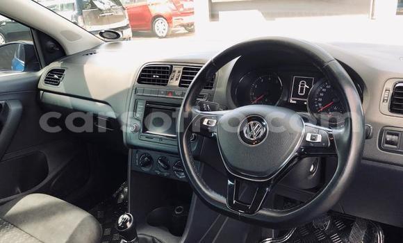 Acheter Occasion Voiture Volkswagen Polo Bleu à Maputsoe, Leribe Acheter Occasion Voiture Volkswagen Polo Bleu à Maputsoe, Leribe