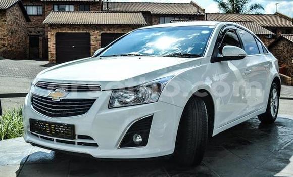 Buy Used Chevrolet Cruze White Car in Hlotse in Leribe Buy Used Chevrolet Cruze White Car in Hlotse in Leribe