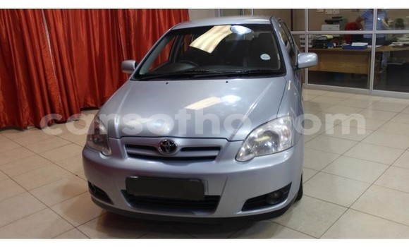 Buy Used Toyota Runx Silver Car in Hlotse in Leribe Buy Used Toyota Runx Silver Car in Hlotse in Leribe