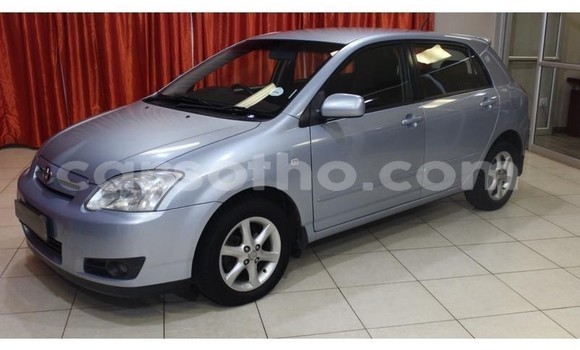 Buy Used Toyota Runx Silver Car in Hlotse in Leribe Buy Used Toyota Runx Silver Car in Hlotse in Leribe