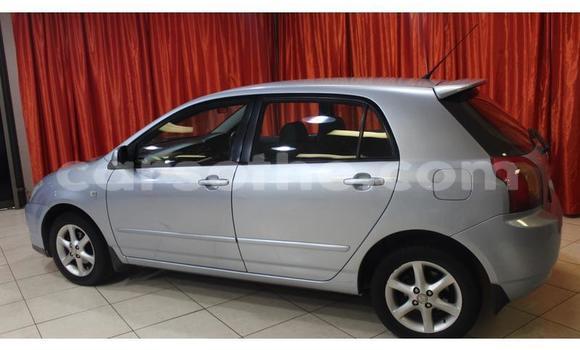 Buy Used Toyota Runx Silver Car in Hlotse in Leribe Buy Used Toyota Runx Silver Car in Hlotse in Leribe