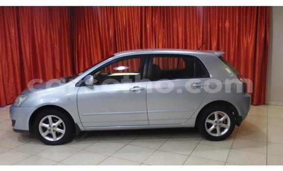 Buy Used Toyota Runx Silver Car in Hlotse in Leribe Buy Used Toyota Runx Silver Car in Hlotse in Leribe