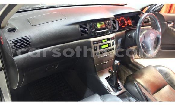 Buy Used Toyota Runx Silver Car in Hlotse in Leribe Buy Used Toyota Runx Silver Car in Hlotse in Leribe