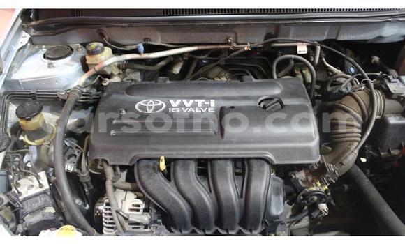 Buy Used Toyota Runx Silver Car in Hlotse in Leribe Buy Used Toyota Runx Silver Car in Hlotse in Leribe