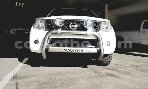 Buy Used Nissan Navara White Car in Mohale's Hoek in Mohale's Hoek Buy Used Nissan Navara White Car in Mohale's Hoek in Mohale's Hoek