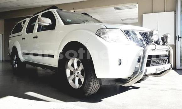 Buy Used Nissan Navara White Car in Mohale's Hoek in Mohale's Hoek Buy Used Nissan Navara White Car in Mohale's Hoek in Mohale's Hoek