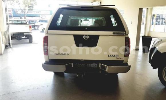 Buy Used Nissan Navara White Car in Mohale's Hoek in Mohale's Hoek Buy Used Nissan Navara White Car in Mohale's Hoek in Mohale's Hoek