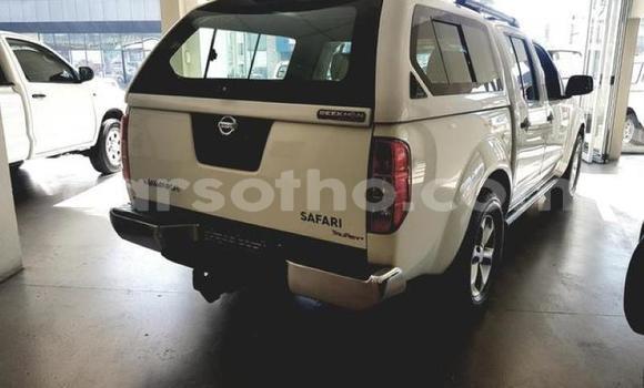 Buy Used Nissan Navara White Car in Mohale's Hoek in Mohale's Hoek Buy Used Nissan Navara White Car in Mohale's Hoek in Mohale's Hoek
