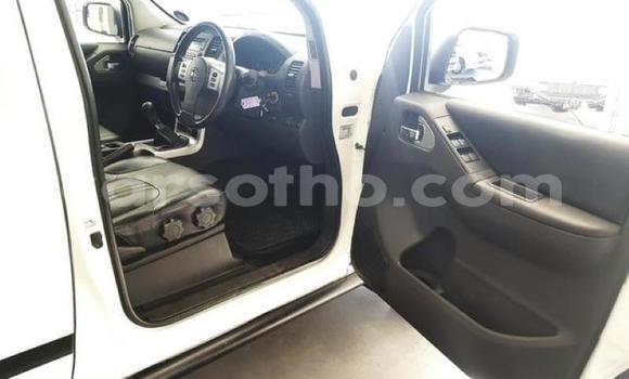 Buy Used Nissan Navara White Car in Mohale's Hoek in Mohale's Hoek Buy Used Nissan Navara White Car in Mohale's Hoek in Mohale's Hoek