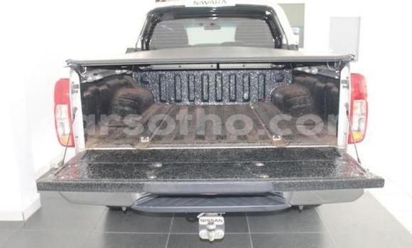 Buy Used Nissan Navara Silver Car in Mohale's Hoek in Mohale's Hoek Buy Used Nissan Navara Silver Car in Mohale's Hoek in Mohale's Hoek