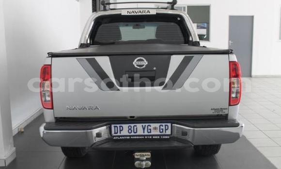 Buy Used Nissan Navara Silver Car in Mohale's Hoek in Mohale's Hoek Buy Used Nissan Navara Silver Car in Mohale's Hoek in Mohale's Hoek