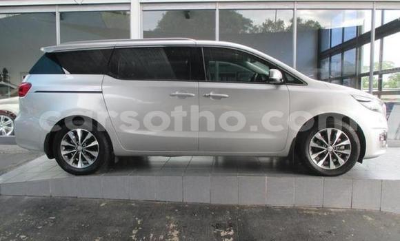 اشتري مستعمل Kia Cadenza White سيارة في Hlotse في Leribe اشتري مستعمل Kia Cadenza White سيارة في Hlotse في Leribe