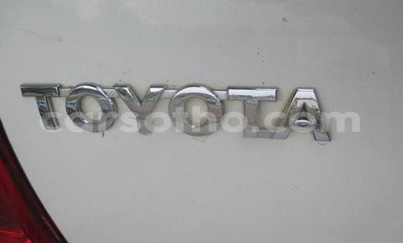 Sayi Na hannu Toyota Hilux White Mota in Hlotse a Leribe Sayi Na hannu Toyota Hilux White Mota in Hlotse a Leribe