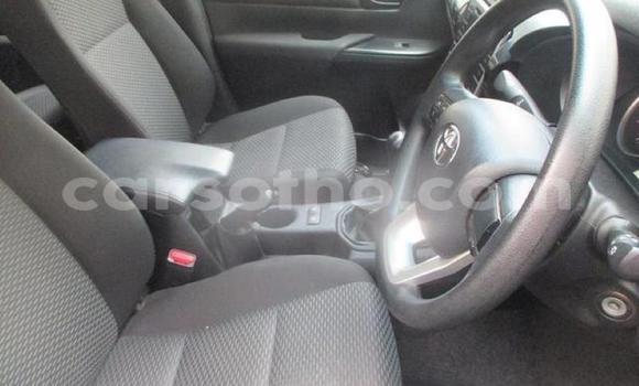Sayi Na hannu Toyota Hilux White Mota in Hlotse a Leribe Sayi Na hannu Toyota Hilux White Mota in Hlotse a Leribe
