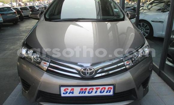 اشتري مستعمل Toyota Corolla Other سيارة في Hlotse في Leribe اشتري مستعمل Toyota Corolla Other سيارة في Hlotse في Leribe