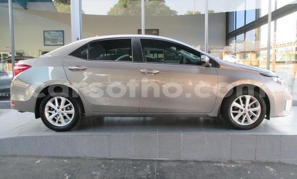 اشتري مستعمل Toyota Corolla Other سيارة في Hlotse في Leribe اشتري مستعمل Toyota Corolla Other سيارة في Hlotse في Leribe