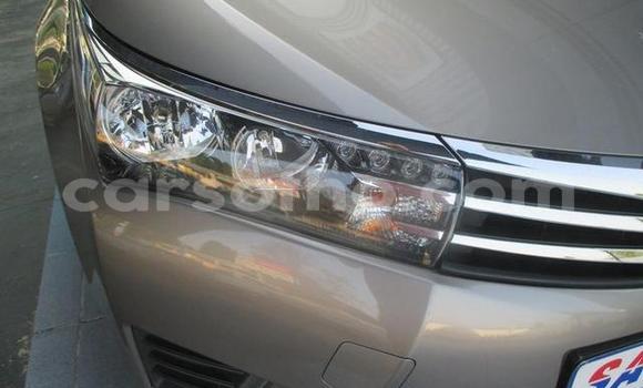 اشتري مستعمل Toyota Corolla Other سيارة في Hlotse في Leribe اشتري مستعمل Toyota Corolla Other سيارة في Hlotse في Leribe