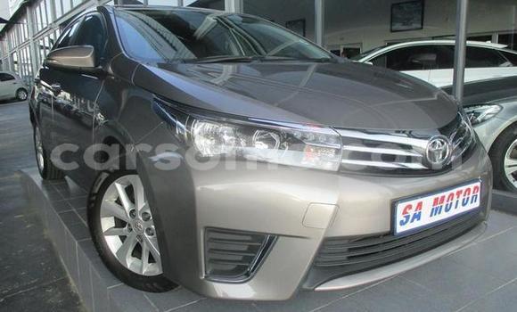 اشتري مستعمل Toyota Corolla Other سيارة في Hlotse في Leribe اشتري مستعمل Toyota Corolla Other سيارة في Hlotse في Leribe