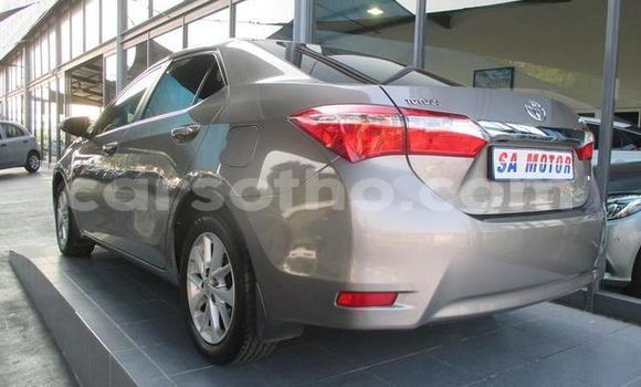 اشتري مستعمل Toyota Corolla Other سيارة في Hlotse في Leribe اشتري مستعمل Toyota Corolla Other سيارة في Hlotse في Leribe