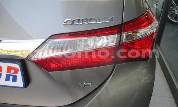 اشتري مستعمل Toyota Corolla Other سيارة في Hlotse في Leribe اشتري مستعمل Toyota Corolla Other سيارة في Hlotse في Leribe