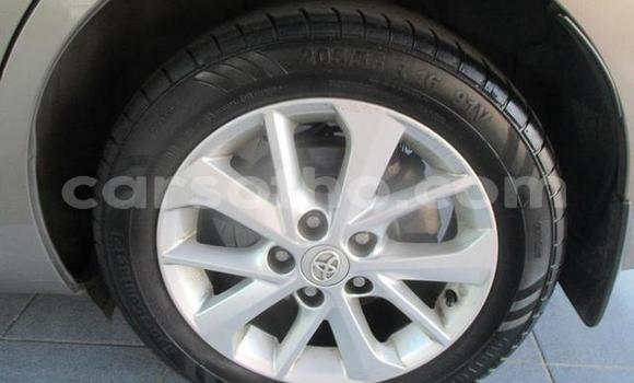 اشتري مستعمل Toyota Corolla Other سيارة في Hlotse في Leribe اشتري مستعمل Toyota Corolla Other سيارة في Hlotse في Leribe