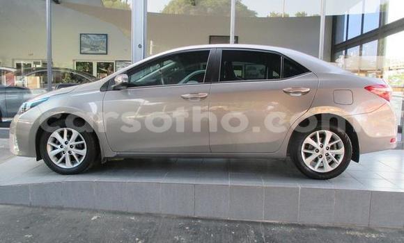 اشتري مستعمل Toyota Corolla Other سيارة في Hlotse في Leribe اشتري مستعمل Toyota Corolla Other سيارة في Hlotse في Leribe