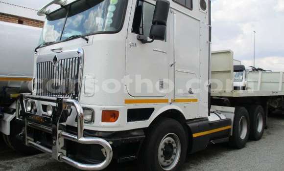 Buy Used Isuzu FTR 850 Other Truck in Import - Dubai in Maseru