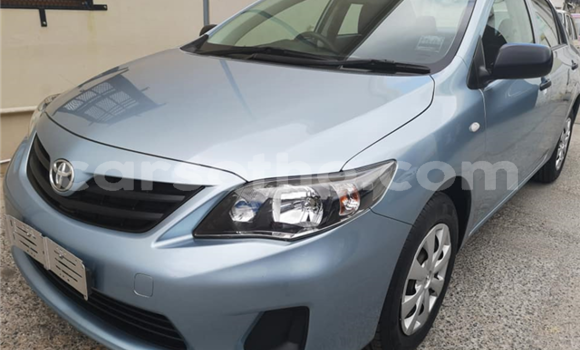 اشتري مستعمل Toyota Corolla Blue سيارة في Maseru في Maseru اشتري مستعمل Toyota Corolla Blue سيارة في Maseru في Maseru