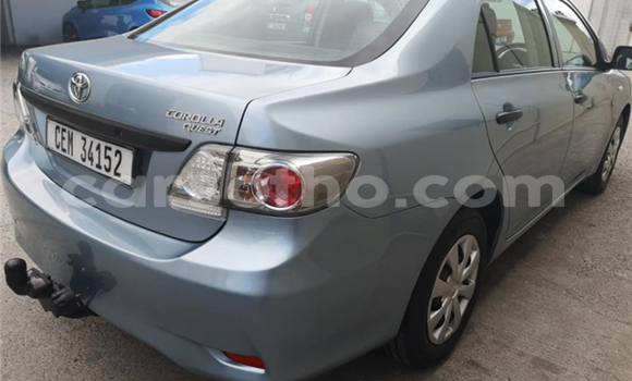 اشتري مستعمل Toyota Corolla Blue سيارة في Maseru في Maseru اشتري مستعمل Toyota Corolla Blue سيارة في Maseru في Maseru