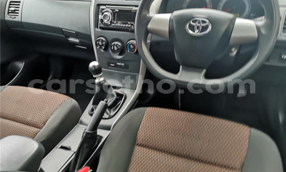 اشتري مستعمل Toyota Corolla Blue سيارة في Maseru في Maseru اشتري مستعمل Toyota Corolla Blue سيارة في Maseru في Maseru