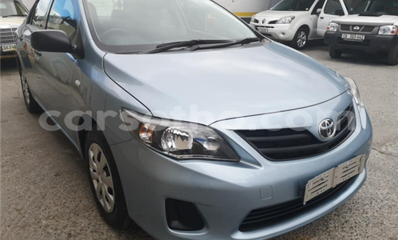 اشتري مستعمل Toyota Corolla Blue سيارة في Maseru في Maseru اشتري مستعمل Toyota Corolla Blue سيارة في Maseru في Maseru