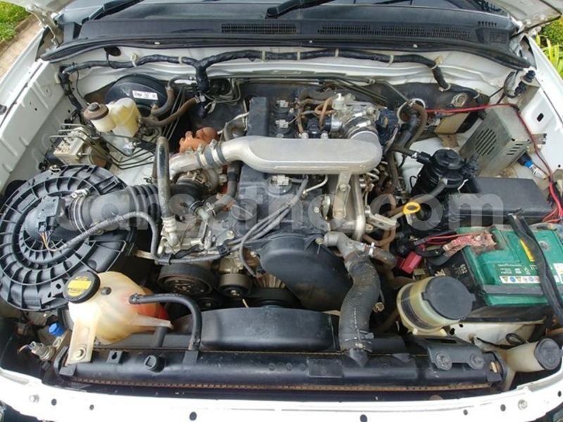 Big with watermark 4710259 12