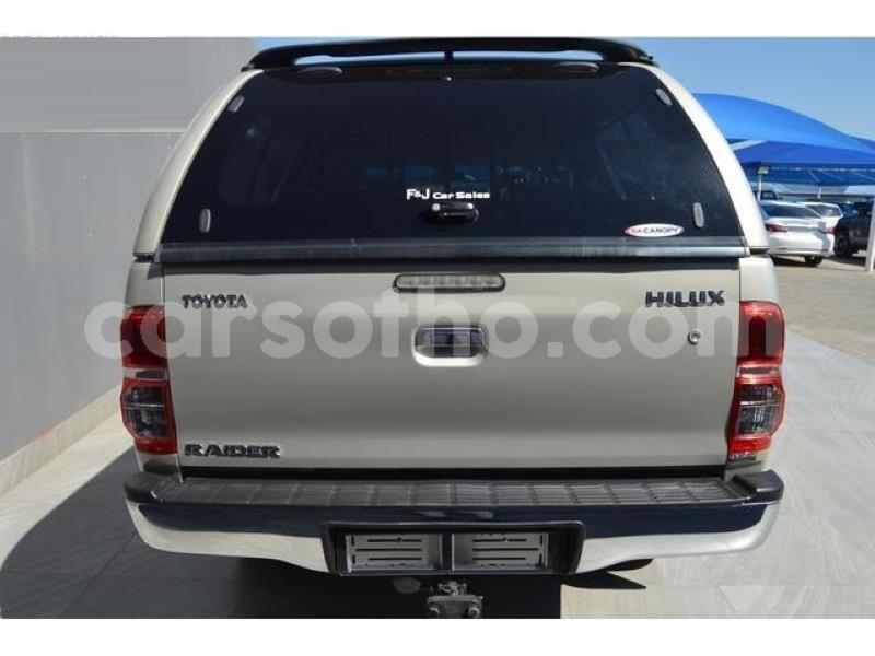 Big with watermark c6