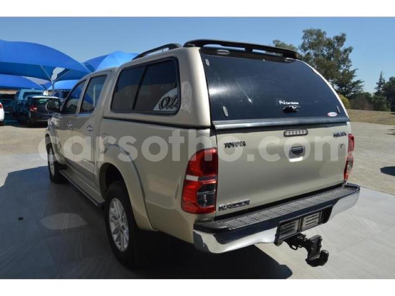 Big with watermark c7