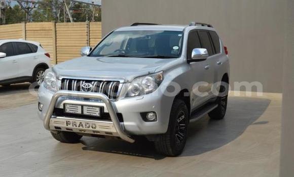 Buy Used Toyota Prado Silver Car in Maseru in Maseru Buy Used Toyota Prado Silver Car in Maseru in Maseru