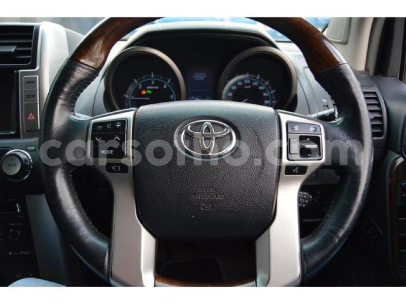 Big with watermark b10