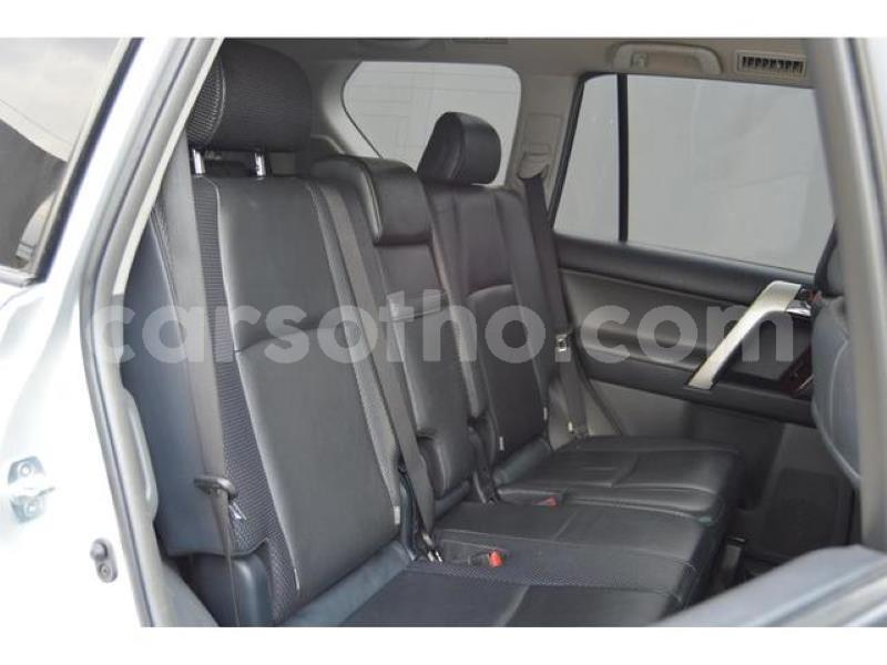 Big with watermark b11