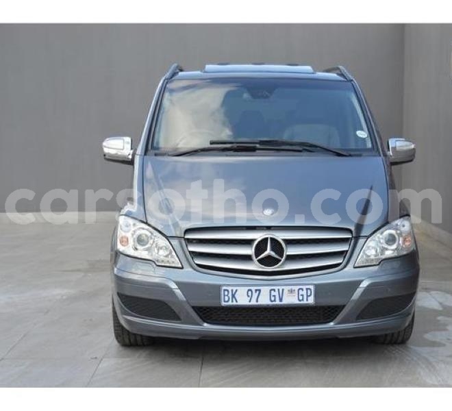 Big with watermark t3