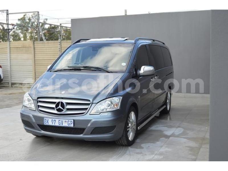 Big with watermark t4