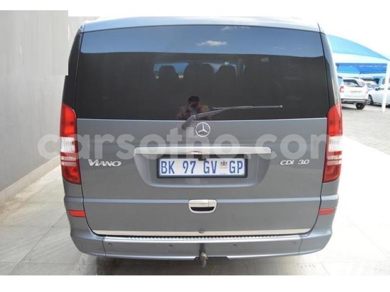 Big with watermark t7