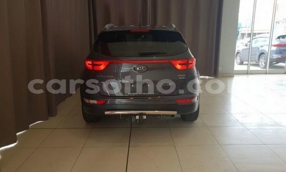 اشتري مستعمل Kia Sportage Other سيارة في Maseru في Maseru اشتري مستعمل Kia Sportage Other سيارة في Maseru في Maseru
