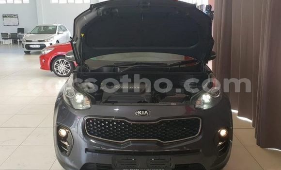 اشتري مستعمل Kia Sportage Other سيارة في Maseru في Maseru اشتري مستعمل Kia Sportage Other سيارة في Maseru في Maseru