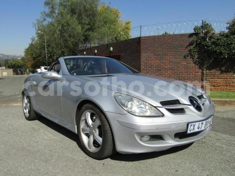 Big with watermark 1 copy copy copy copy copy