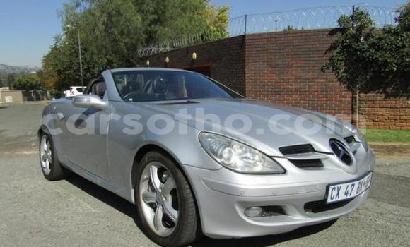 Acheter Occasion Voiture Mercedes-Benz SLK–Class Gris à Maputsoa, Leribe Acheter Occasion Voiture Mercedes-Benz SLK–Class Gris à Maputsoa, Leribe